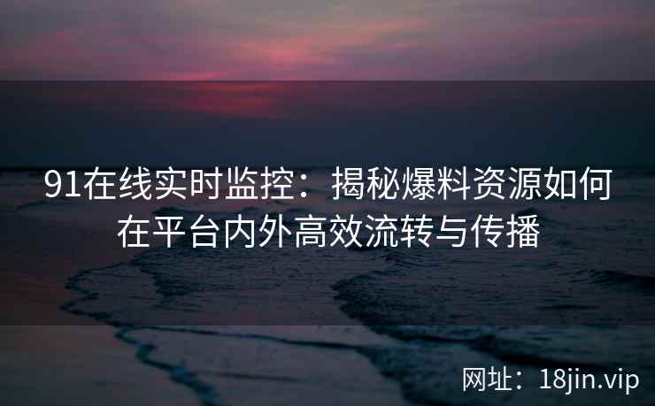 91在线实时监控:揭秘爆料资源如何在平台内外高效流转与传播 91在线实时监控:揭秘爆料资源如何在平台内外高效流转与传播