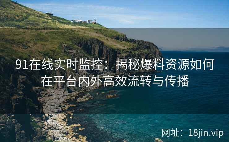 91在线实时监控:揭秘爆料资源如何在平台内外高效流转与传播 91在线实时监控:揭秘爆料资源如何在平台内外高效流转与传播