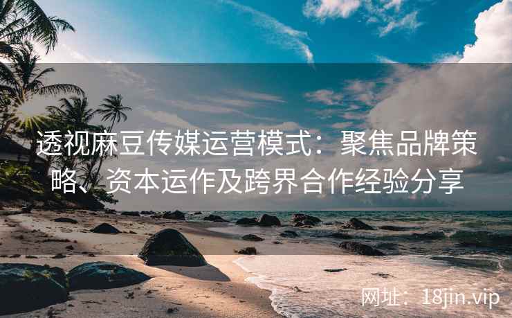 透视麻豆传媒运营模式：聚焦品牌策略、资本运作及跨界合作经验分享