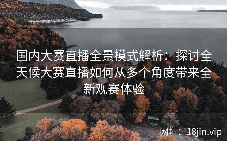 国内大赛直播全景模式解析：探讨全天候大赛直播如何从多个角度带来全新观赛体验